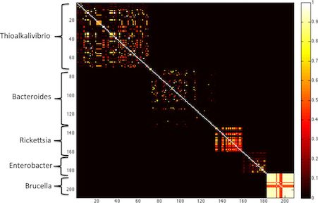 Figure 2 from Koslicki and Falush, 2016