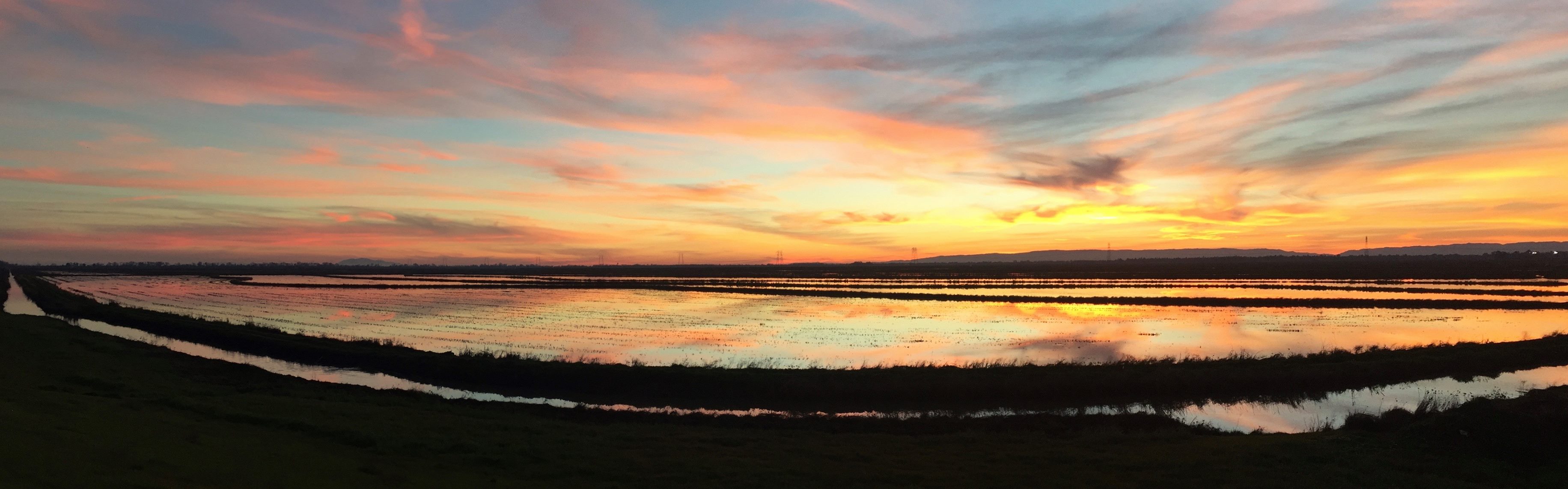 Yolo Basin panorama